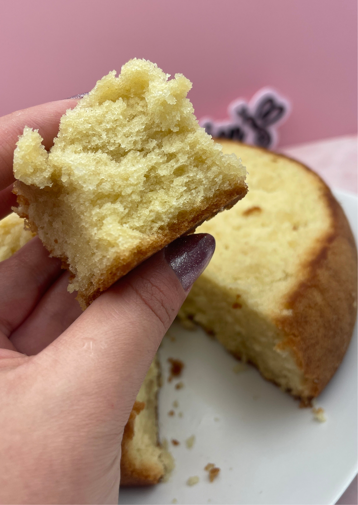 HOMEMADE FLAVOR COMBO (Panetela húmeda de vainilla 100% Casera🌟 + Dulce de leche Jar)