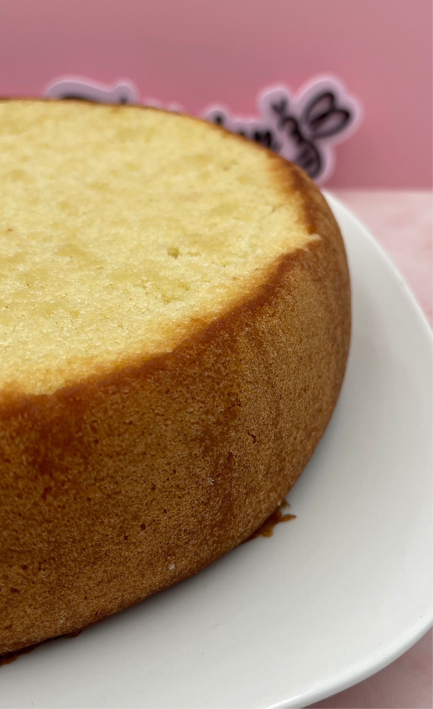 Panetela / bizcocho húmedo de vainilla (Con almíbar) 100% NATURAL Y CASERA🌟