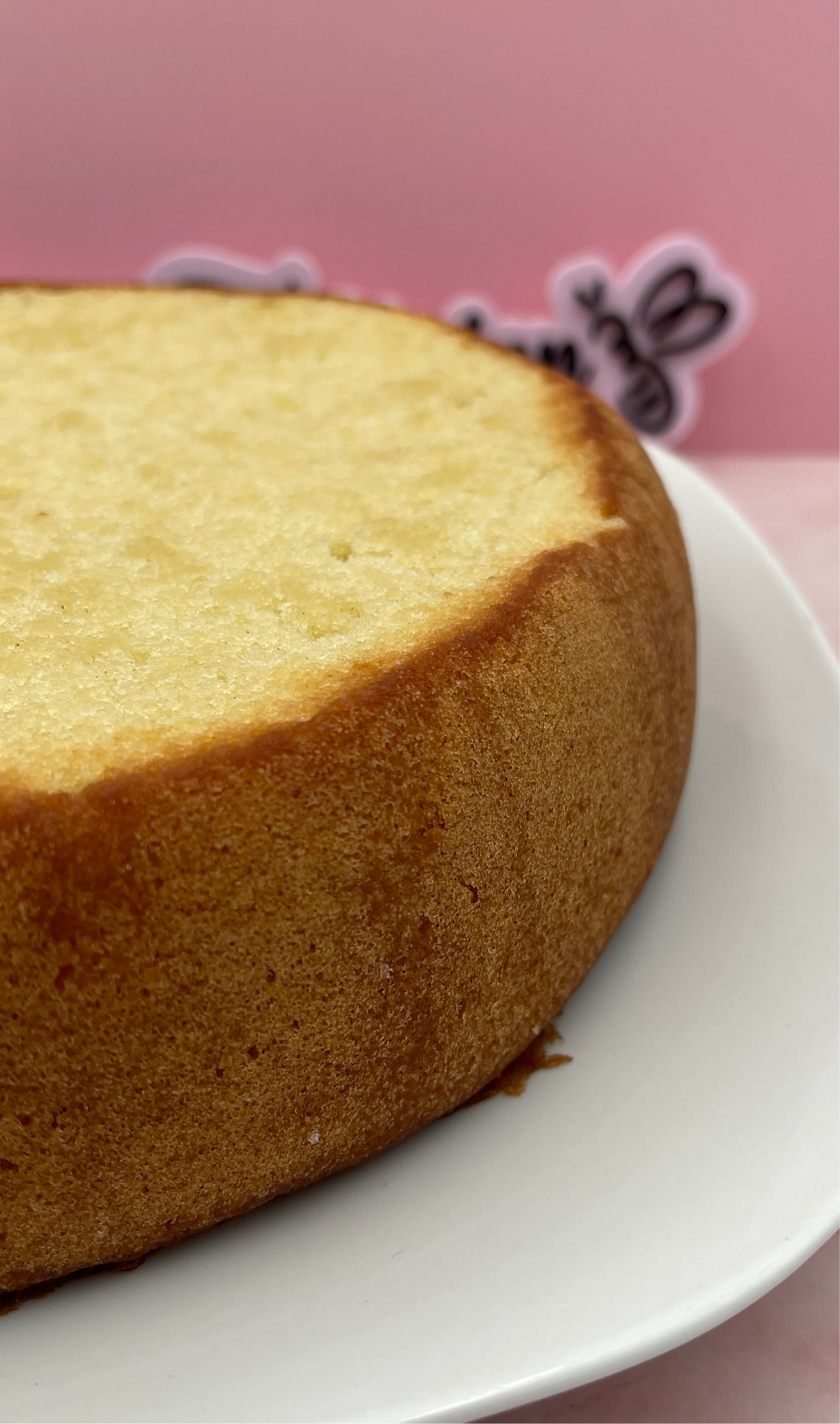 Panetela / bizcocho húmedo de vainilla (Con almíbar) 100% NATURAL Y CASERA🌟
