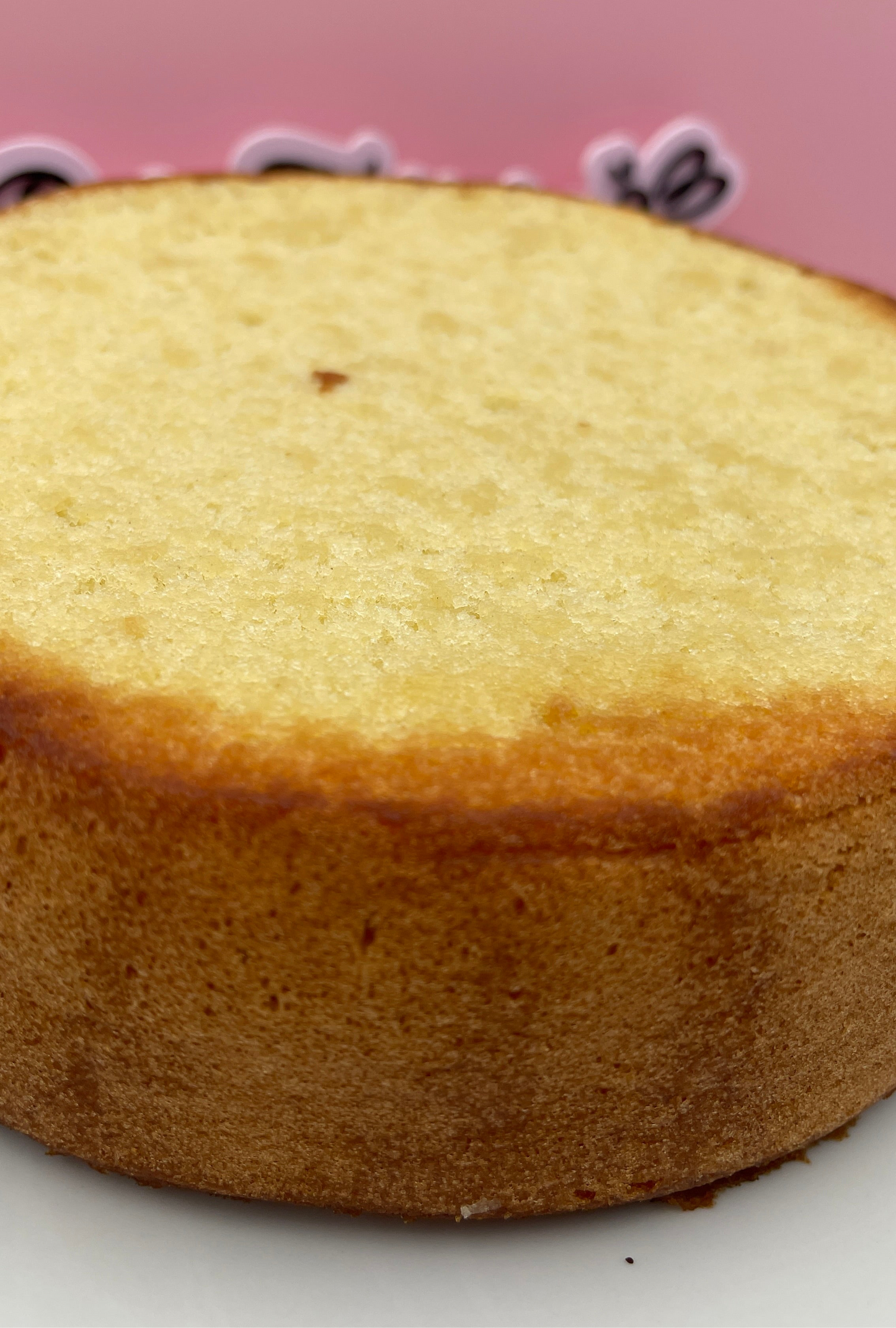 Panetela / bizcocho húmedo de vainilla (Con almíbar) 100% NATURAL Y CASERA🌟
